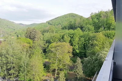 Appartamento Vacanza con famiglia Bad Harzburg