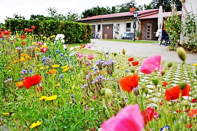 Ferienwohnung Pommernhof im OG mit Sitzecke i...