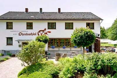 Hotel Culturas y visitas Weilbach