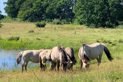 Domek letniskowy Urlop wypoczynkowy Gelting