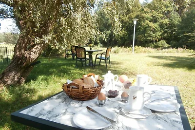 Vakantieappartement Gezinsvakantie Lychen