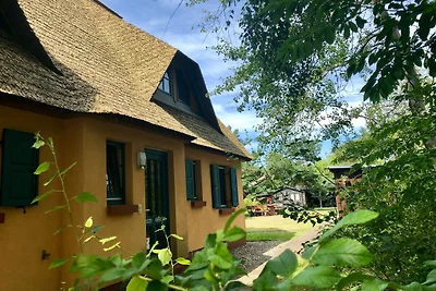 Vakantieappartement Gezinsvakantie Wustrow (Ostsee)