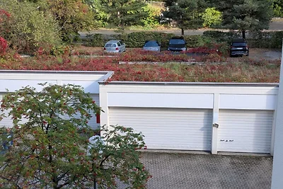 Holiday flat family holiday Bad Harzburg