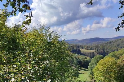 Vakantieappartement Gezinsvakantie Hohegeiß