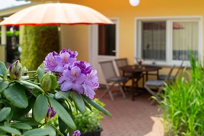 Ferienhaus 10 und Terrasse