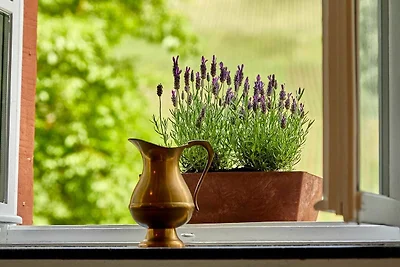 Vakantieappartement Gezinsvakantie Bernkastel-Kues