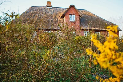 Ferienwohnung Malin