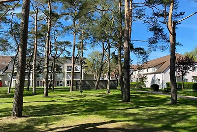 hotel Kultura & zwiedzanie Dierhagen
