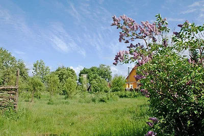 Ferienwohnung Chagall mit Balkon und Terrasse