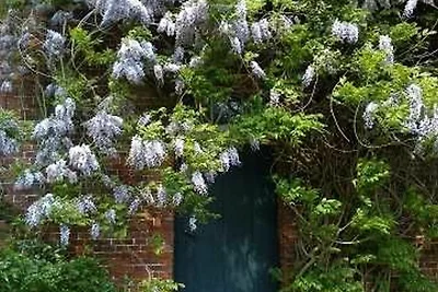 Appartamento Vacanza con famiglia Stade