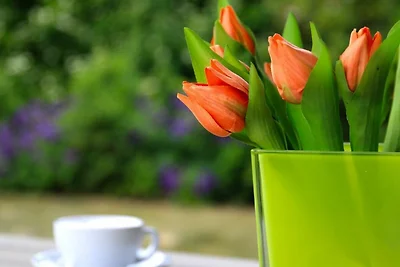 Appartamento Vacanza con famiglia Kalkhorst