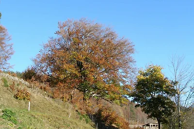 Vakantieappartement Gezinsvakantie Wieden