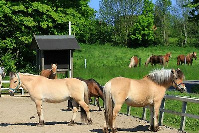 Ferienwohnung Skandinavien