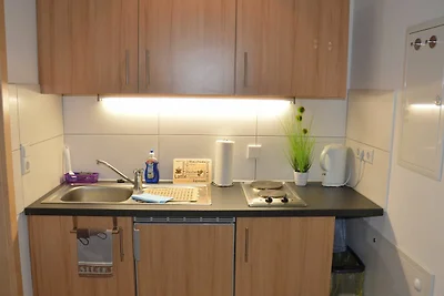 Vakantieappartement Gezinsvakantie Rheinhausen