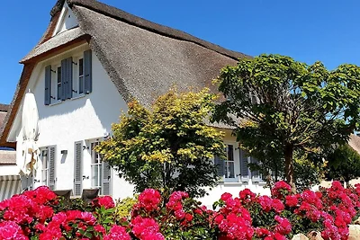 Vakantiehuis Ontspannende vakantie Zierow