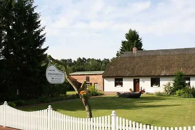Vakantieappartement Gezinsvakantie Karlshagen