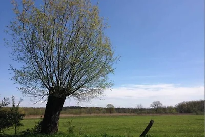 Vakantieappartement Gezinsvakantie Prebberede