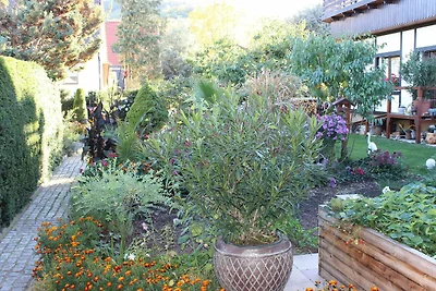 Ferienhaus Beck 1