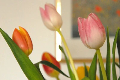 Ferienwohnung Himmelblau