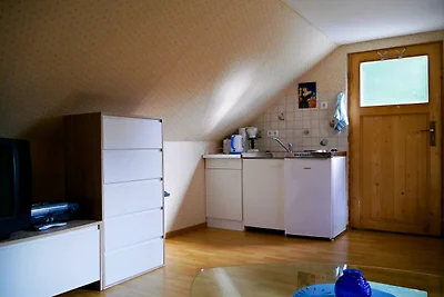 Vakantieappartement Gezinsvakantie Heringsdorf