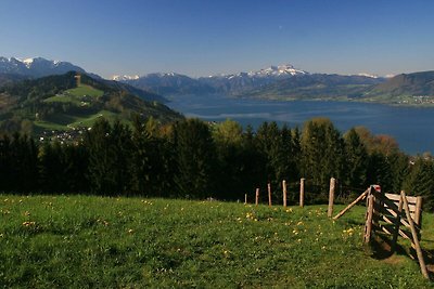 Vakantieappartement Gezinsvakantie Weyregg am Attersee