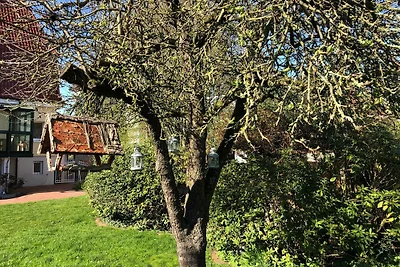 178 Ferienwohnung unter dem Dach - Seestern