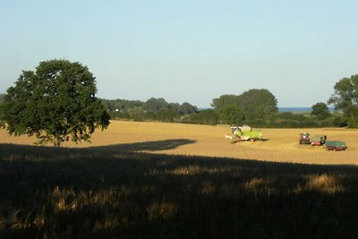 Appartamento Vacanza con famiglia Dörphof