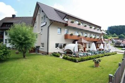 Hotel Cultuur en bezienswaardigheden Lenzkirch