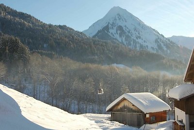 Appartamento Vacanza con famiglia Schoppernau