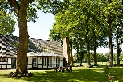 Vakantieappartement Gezinsvakantie Löningen