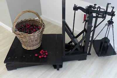 Vakantieappartement Gezinsvakantie Grünendeich
