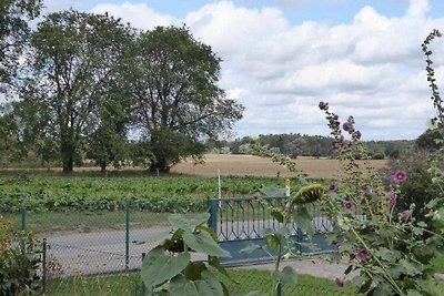 Vakantieappartement Gezinsvakantie Feldberger Seenlandschaft