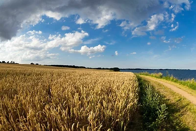 Whg. 4, 50qm, 1 Etage