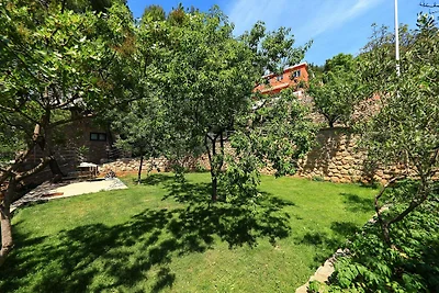 Steinhaus Mirko