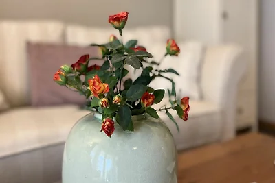 Sonnenblume: 38m², 1-Raum, 2 Pers.