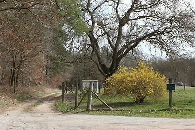 Apartament Dla rodzin Schönfeld