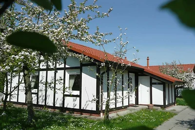 Ferienhaus 309 Kogge 60qm bis 5 Personen mit...
