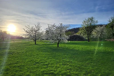 Doppelzimmer mit Balkon (Etagendusche/WC)