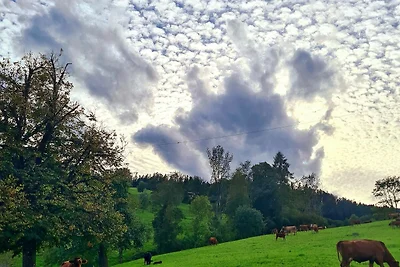 Casa vacanze Vacanza di relax Luzern