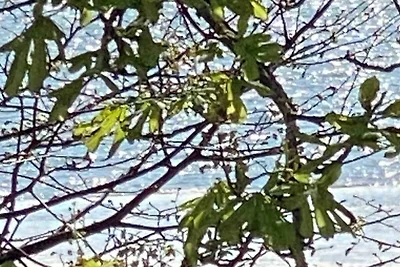 Whg Lütt Lee i. Hus in Lee, Sandwall 60 Wyk