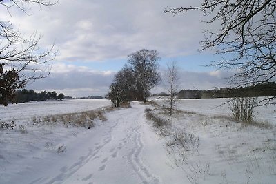 FEWO 2 Lange Strasse