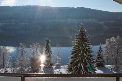 Albergo Cultura ed escursioni Titisee-Neustadt