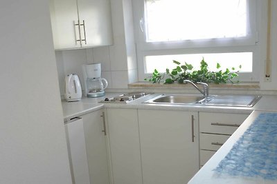 1-Raum-Appartement Bechinger, Dusche/WC, 24 q...