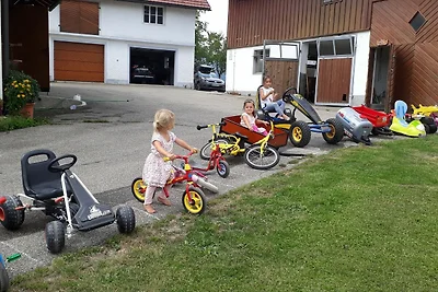 Appartamento Vacanza con famiglia Mondsee