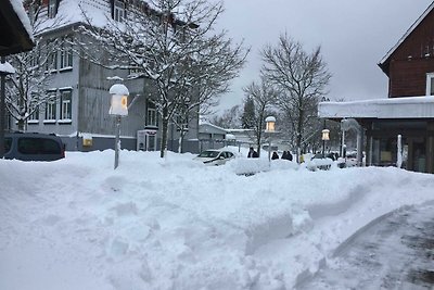 Vakantieappartement Gezinsvakantie Hahnenklee