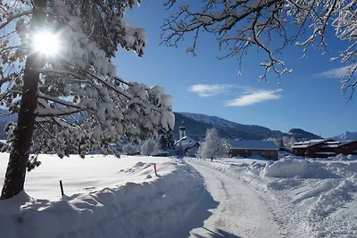 Vakantieappartement Gezinsvakantie Hittisau