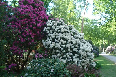 Ferienwohnung Möwe 10