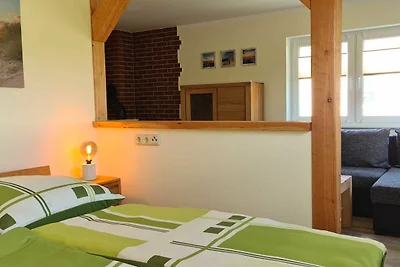 1-Raum-Gartenhaus (48m², 2+1 Personen)