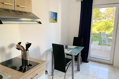 Appartement 1 - mit grosser Terrasse