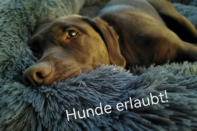 Vakantiehuis Ontspannende vakantie Eisenberg